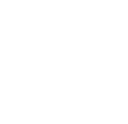 signet xdg withe 1