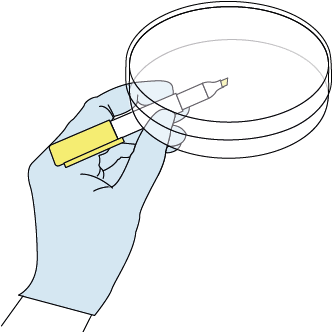 xebios maldi tof sample registration step 1